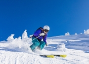 包含赛前速览：澳网四强战切尔西对阵多特蒙德，三大看点值得期待的词条